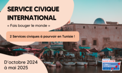 Service civique international