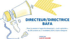 Directeur Directrice BAFA